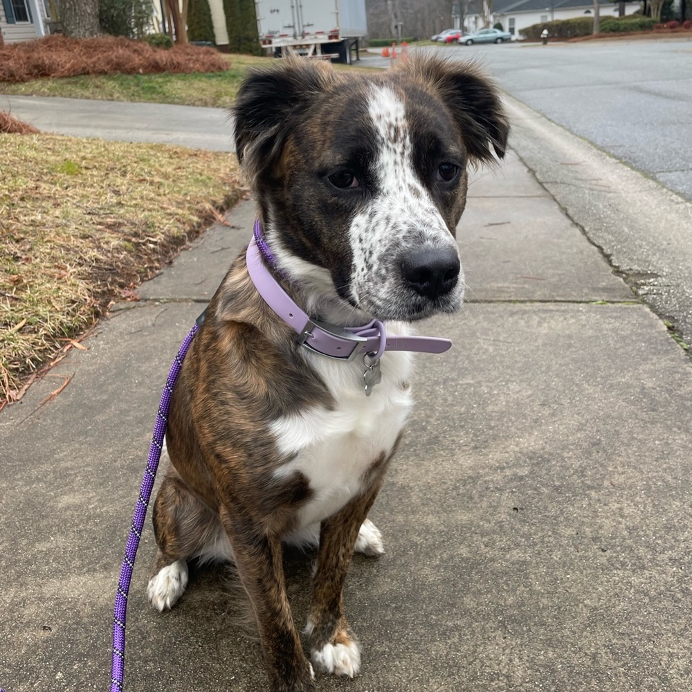 Meet your Posher, Nat